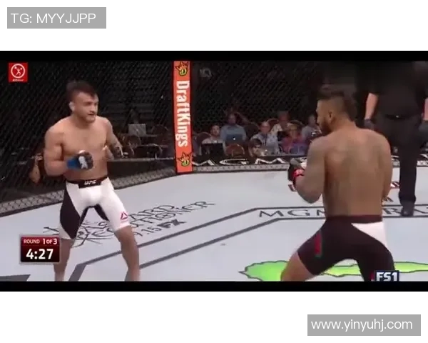 MMA格斗之夜：KO瞬间集锦