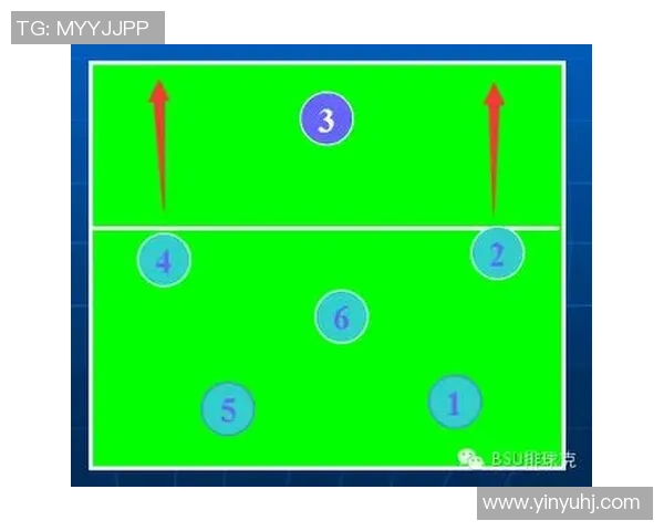 职业排球比赛中快速反击战术与传球精准度的协同作用分析